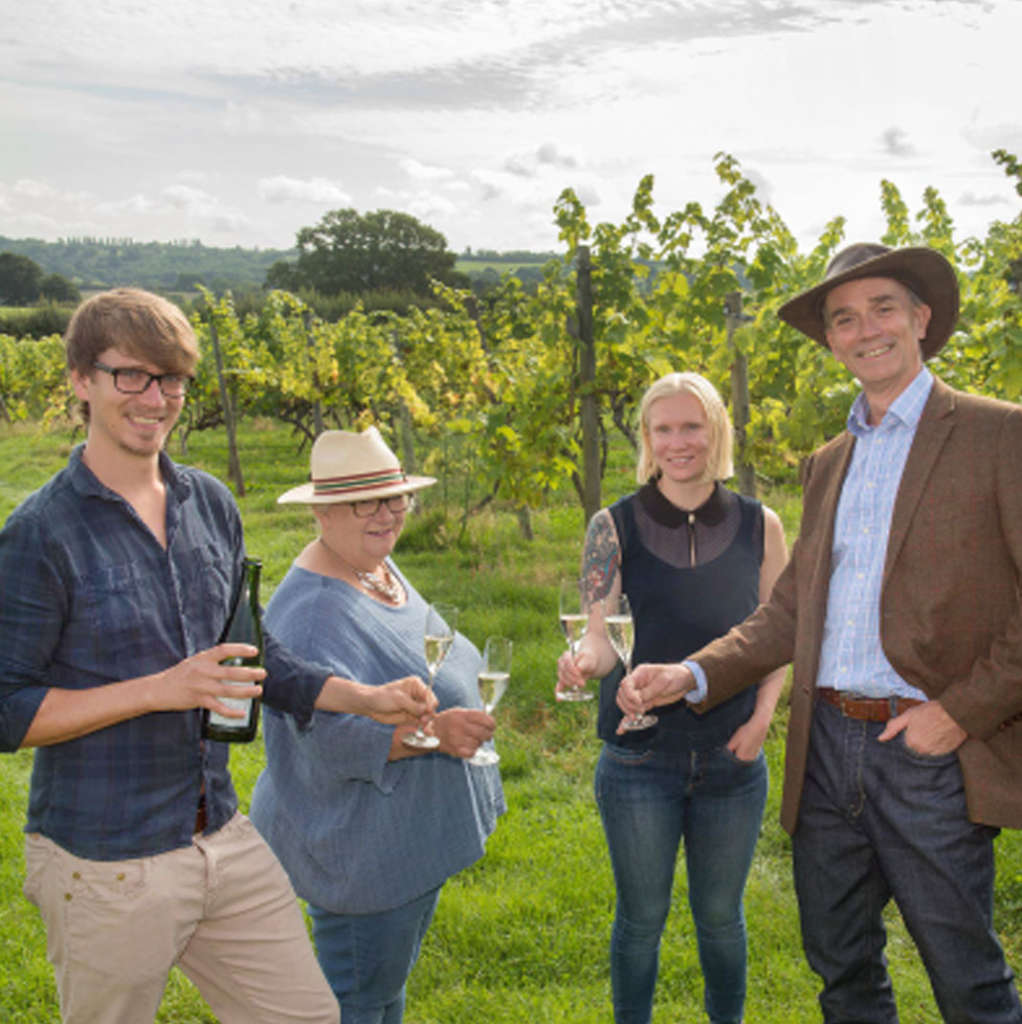 Find Out About Astley Vineyards